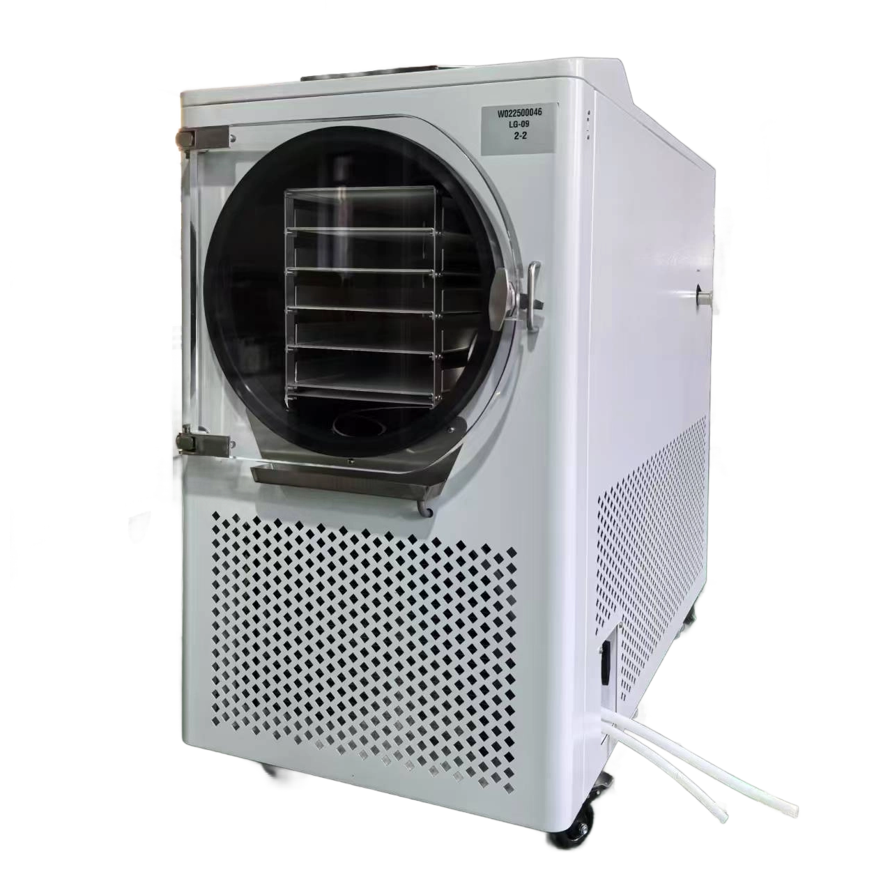 SY-LG-09 10kg Food Freeze Dryer